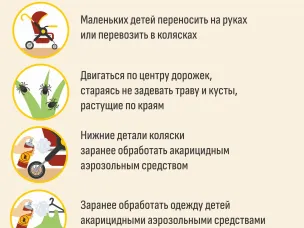 Рекомендации по профилактике клещевых инфекций 